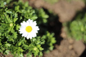 【ワーママがつらい】知らないだけで幸せを逃すのは、あまりにもバカらしい