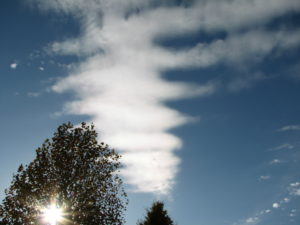 理不尽な仕打ちにあった時の私の対処法　知っていて損はない