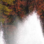 私の子育て方針ふたつ目 我が家に良い風が吹きました