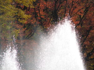 私の子育て方針ふたつ目　我が家に良い風が吹きました