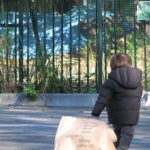 ネットスーパー徹底比較！…と思ったらすぐに頓挫…助けてー！