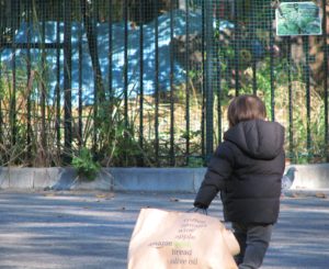 ネットスーパー徹底比較！…と思ったらすぐに頓挫…助けてー！