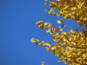 諸行無常　会社を辞めようとしている私には【無駄】に思えること