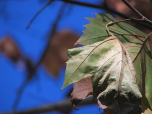 保育士さんがどんどん辞めてしまいます…