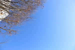 夫に求めていることが何か、わかった気がする