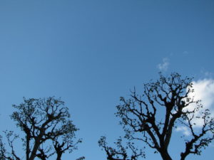 保育園の疑問～こんな私は母親失格なのか～