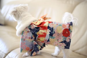 買ってよかった～　むしろもっと早く買うべきだった。