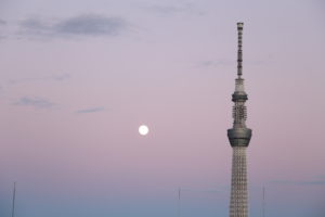 2017年【FX収支報告】公開　イャイ！