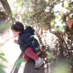 私はどんな親なのか？では、どうしてそんな親になったのか？