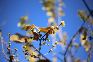 会社員のうちに手に入れておきたかったもの