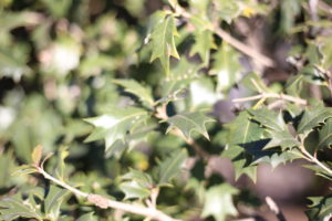 【会員限定】『ひとり寂しく〇ぬ』を細かく説明した。