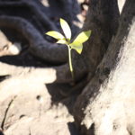 【会員限定】夫にこれを言われた妻と言われていない妻には大きな差があると思う。ちなみに私は言われていない。