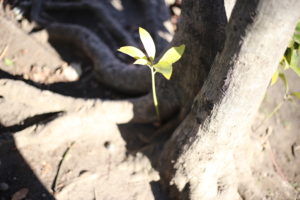 【会員限定】夫にこれを言われた妻と言われていない妻には大きな差があると思う。ちなみに私は言われていない。