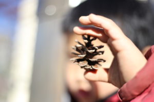 【秘技】ひとたらしの術