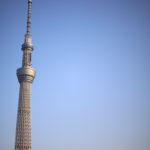 2025年は『新たな夢中の年』