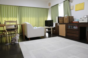 【会員限定】物と家と私と夫と