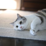 『ちょうどいい』が難しい、40代中盤のもちもの