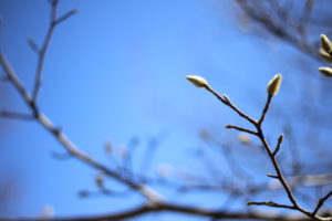 円満退社への道　私の退職がやっと社内でオープンになりました。