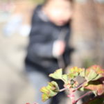 【会員限定】『俺のおかげ』『やってあげる』