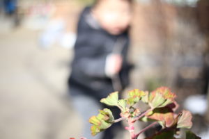 【会員限定】『俺のおかげ』『やってあげる』