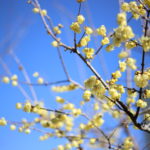 【会員限定】『夫と別れる覚悟』が家族の第一歩