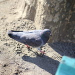 家族がいること、いないこと。