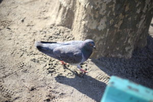 家族がいること、いないこと。