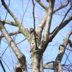 黙ってボールを蹴り続ける