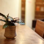 私と夫が死んだら、という話