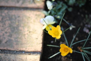 私も思ってました。育休中は暇なんだろうって。