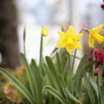 『男が好きなのは〇〇な女』