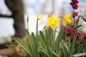 『男が好きなのは〇〇な女』