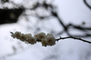 仲間とひと仕事終えました。来年が怖い＆楽しみ