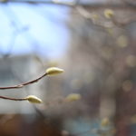 イライラの後ぐったり…計画は遅々として進まず