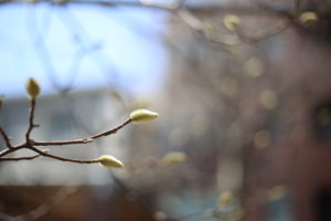 イライラの後ぐったり…計画は遅々として進まず