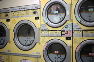 生物としてのピークを過ぎたこと