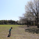 予約しただけなのに、既に【正解】な気がしています