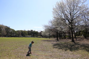 予約しただけなのに、既に【正解】な気がしています