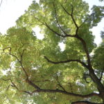 【会員限定】子供相手に我を忘れてしまう夫