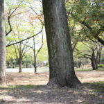 【会員限定】私の積年の恨みの行く末は