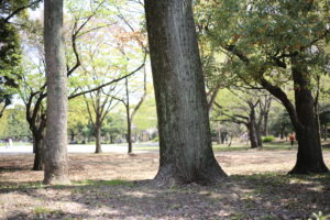 【会員限定】私の積年の恨みの行く末は