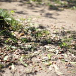 「がんばれ」ってなかなか言わなくなってきた昨今