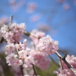 子育ては『あっという間』なのか(定期)