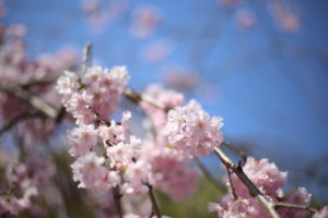 子育ては『あっという間』なのか（定期）