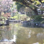 子供の教育にはあまり熱心じゃありませんが、コレだけは相当慎重に決めたい