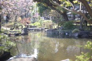 子供の教育にはあまり熱心じゃありませんが、コレだけは相当慎重に決めたい