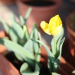 会社が恋しくなる時