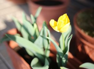 会社が恋しくなる時