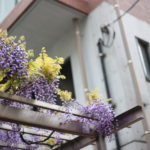 その正体は男子文化?意味がわからん