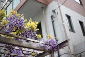 その正体は男子文化？意味がわからん